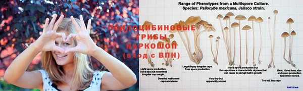 эйфоретик Верхний Тагил