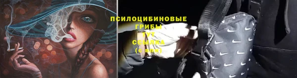 эйфоретик Верхний Тагил